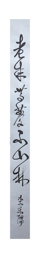 un vers  de li dongyango calligraphié en kuankcao en 2019 - © corinne leforestier