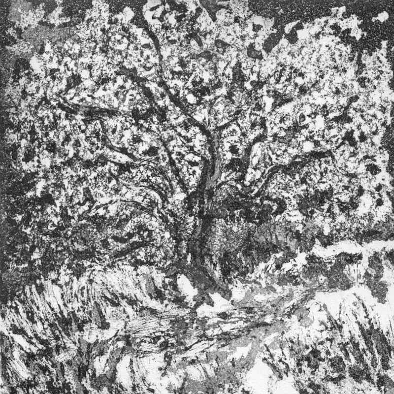 l'arbre l'arbre