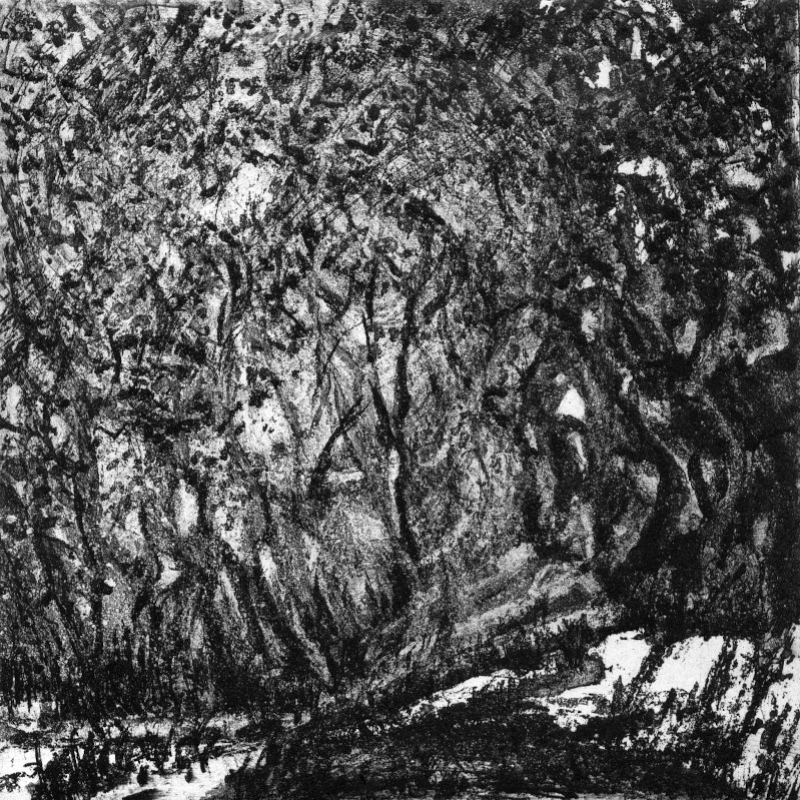 à l'orée du bois à l'orée du bois