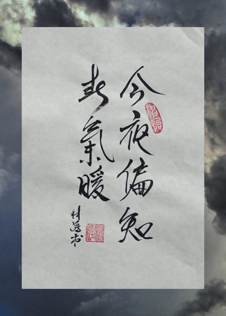 calligraphie en xingcao   <a href="https://galerie.terracolorosa.com/" target="_blank" rel="noopener">© Corinne Leforestier en 2026</a>